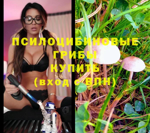 дмт Беломорск