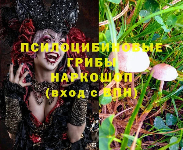 гашик Баксан