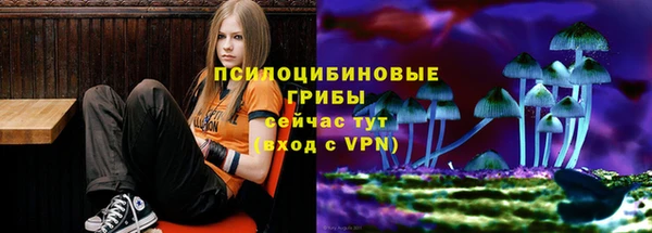 стаф Балабаново