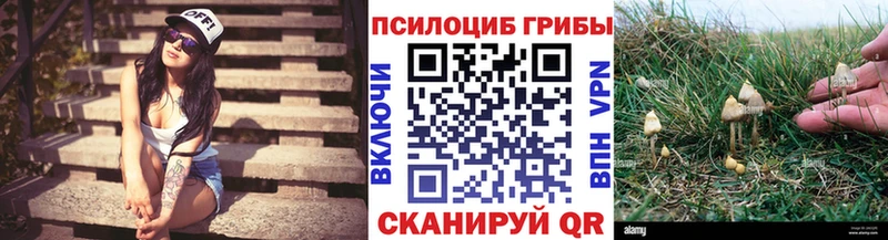 Псилоцибиновые грибы Cubensis  omg   Козельск 